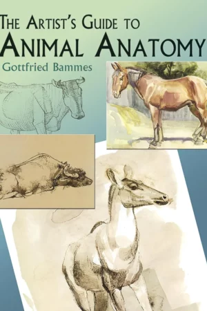 artists guide to animal anatomy 1