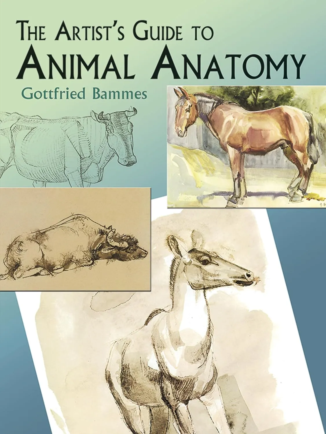 artists guide to animal anatomy 1