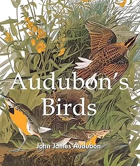 audubons birds2