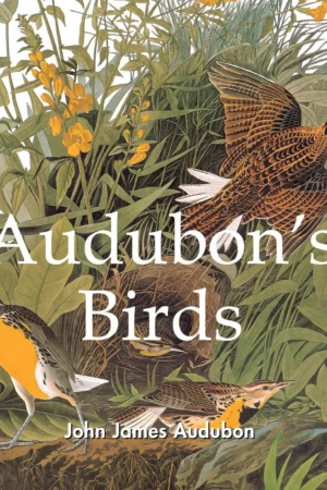 audubons birds 1