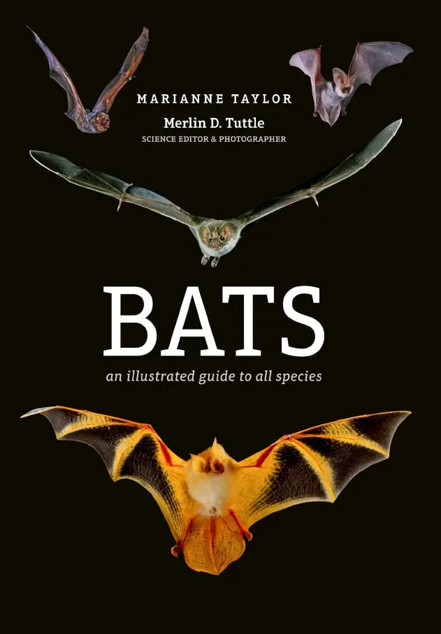 bats an illustrated guide to all species