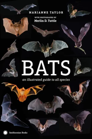 bats an illustrated guide to all species