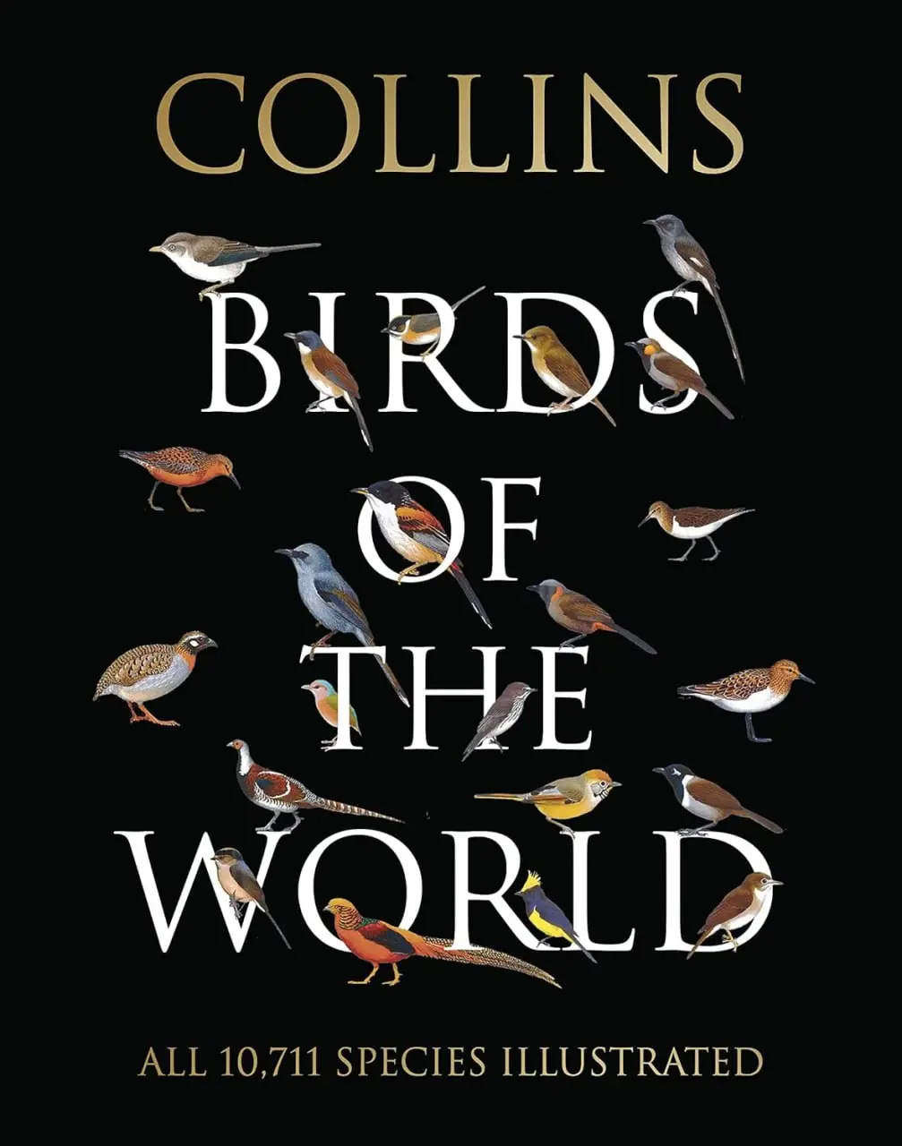 birds of the world