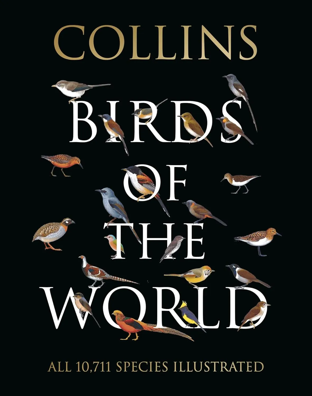birds of the world collins field guide