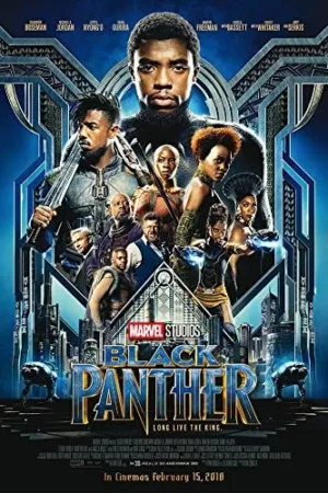 black panther movie poster size 24 x 36 this is a certified posteroffice print with holographic sequential numbering for authenticity4