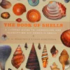 book of shells a life size guide to