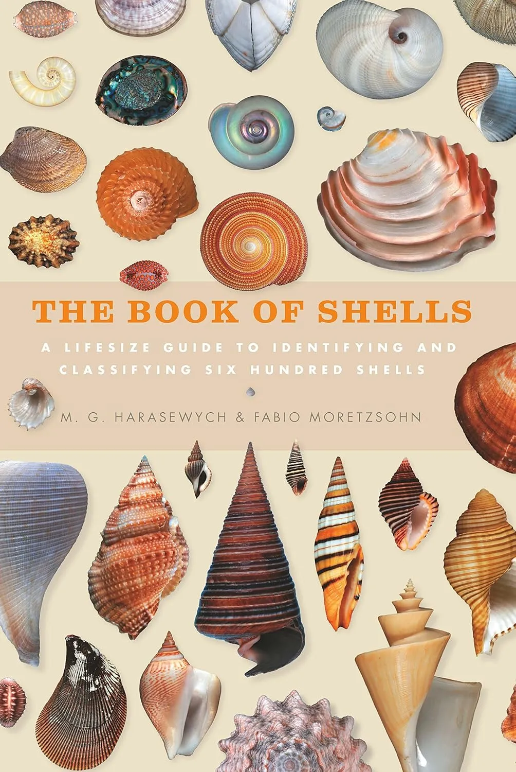 book of shells a life size guide to identifying and classifying six hundred shells