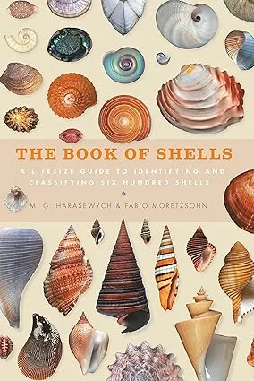 book of shells a life size guide to identifying and classifying six hundred shells2