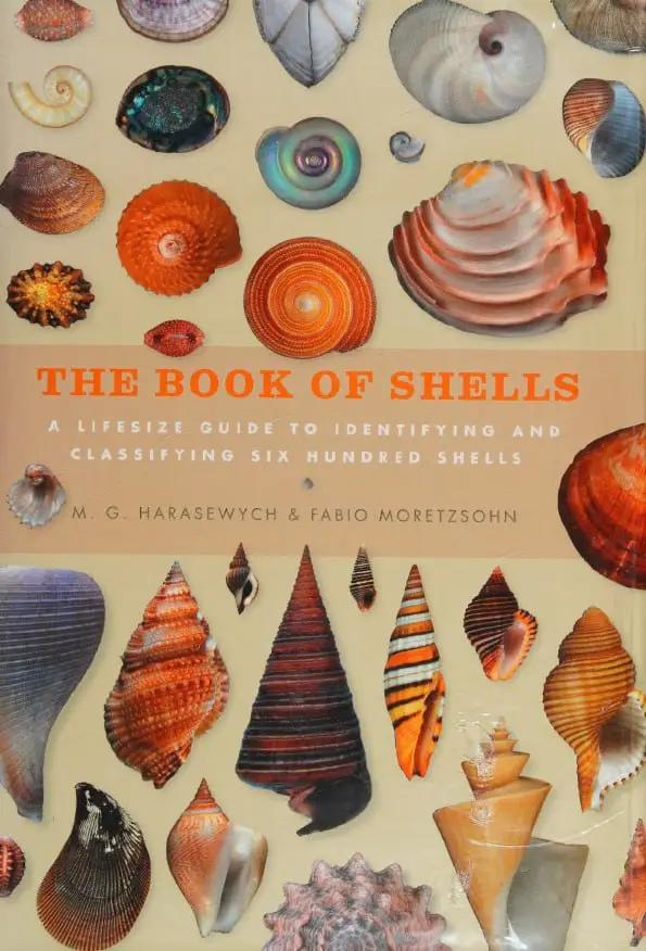 book of shells a life size guide to