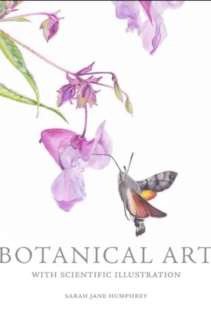 botanical art with scientific illustration 1