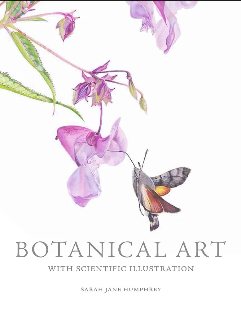 botanical art with scientific illustration 1