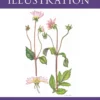 botanical illustration