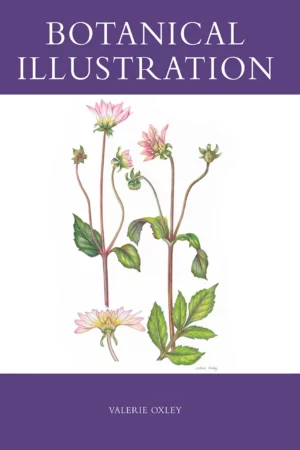 botanical illustration