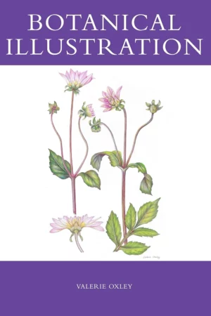 botanical illustration 1