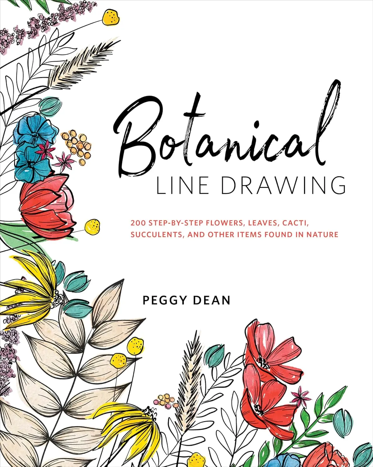 botanical line drawing 200 step by step flowers leaves cacti succulents and other items found in nature