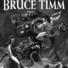 bruce timm les grands noms de la bd amricaine