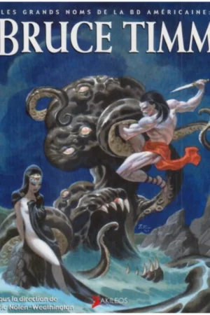 bruce timm les grands noms de la bd amricaine 1