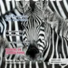 colored pencil magazine september 2016