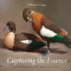 capturing the essence techniques for bird artists