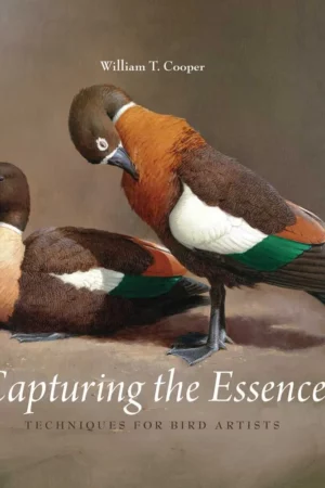 capturing the essence techniques for bird artists 1