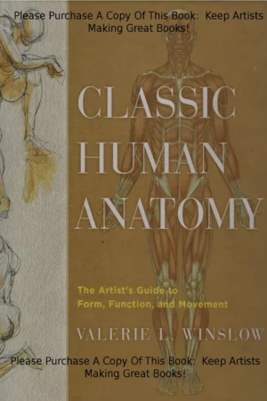 classic human anatomy the artists guide to form function and movement