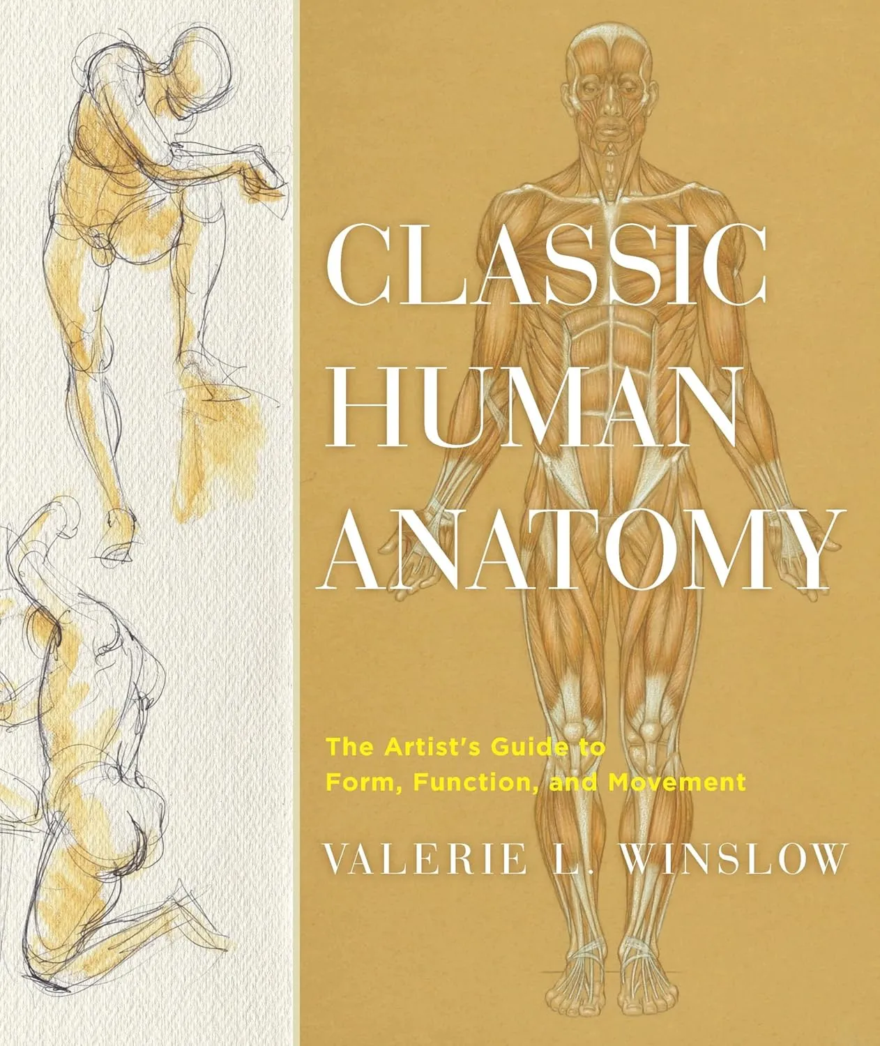 classic human anatomy the artists guide to form function and movement 1
