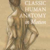 classic human anatomy in motion