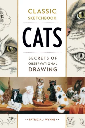 classic sketchbook cats secrets of observational drawing