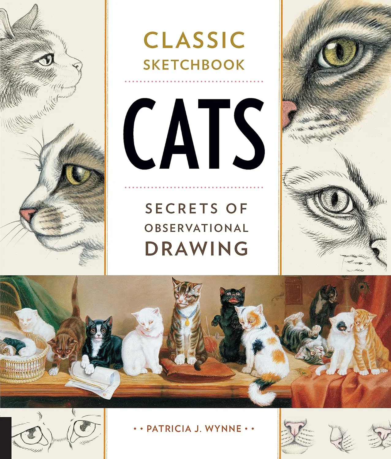 classic sketchbook cats secrets of observational drawing paperback 20 july 2017