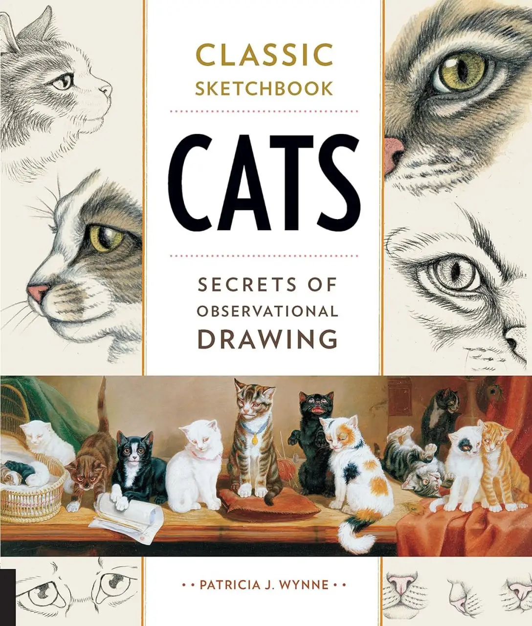 classic sketchbook cats secrets of observational drawing