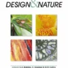 colour in art design and nature
