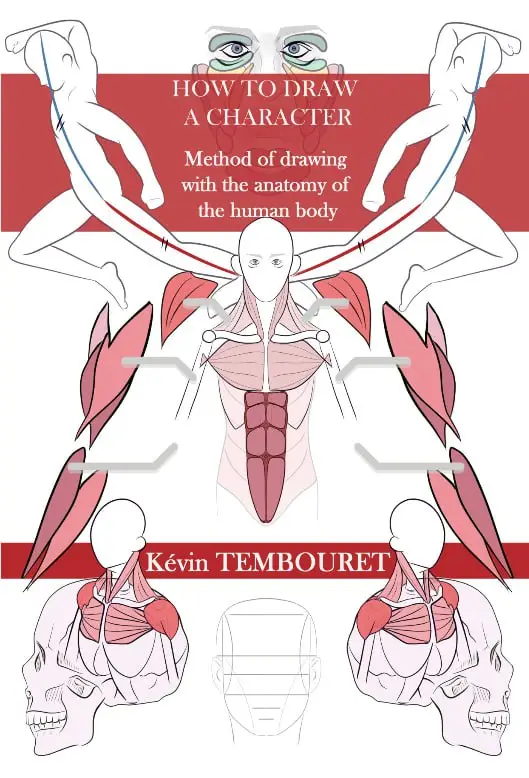 como desenhar um personagem mtodo de desenho com a anatomia do corpo humano