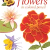creating radiant flowers in colored pencil