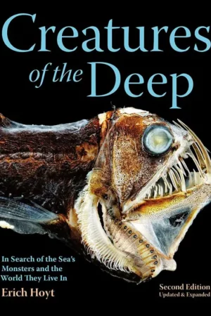 creatures of the deep in search of the seas monsters