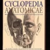 cyclopedia anatomicae more than 1500 illustrations of the human and animal figure for the artist