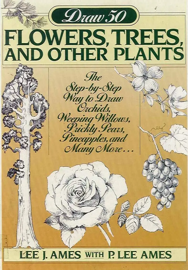 draw 50 flowers trees and other plants 1