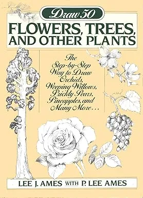 draw 50 flowers trees and other plants2