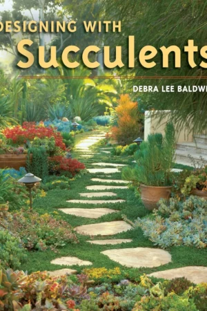 designing with succulents 1