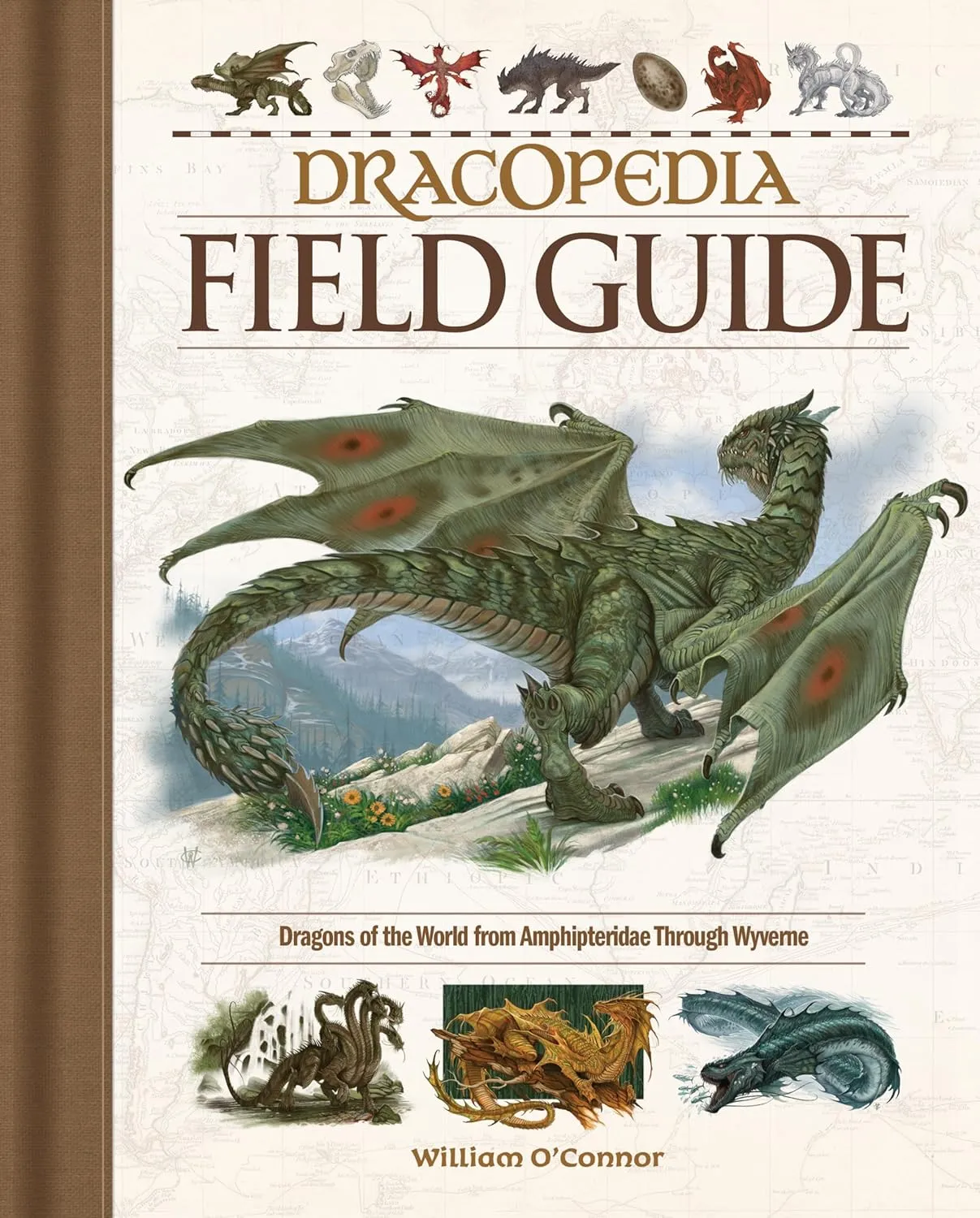 dracopedia field guide dragons of the world from amphipteridae through wyvernae