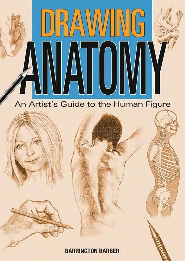 drawing anatomy an artists guide to the human figure