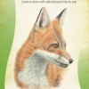 drawing animals learn how to draw with colored pencil step by step how to draw paint