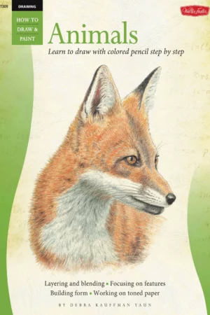 drawing animals learn how to draw with colored pencil step by step how to draw paint