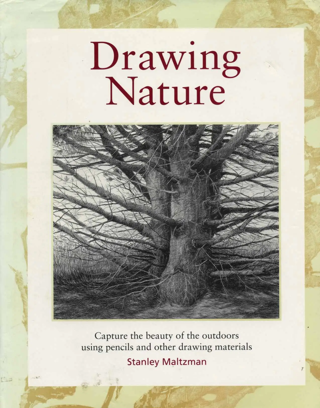 drawing nature