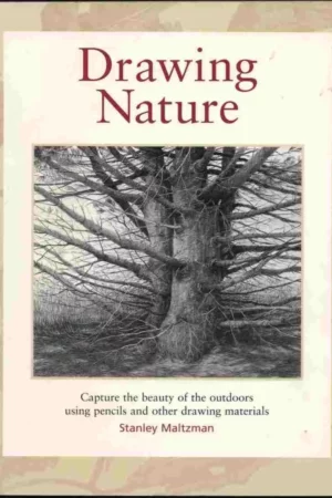 drawing nature 1
