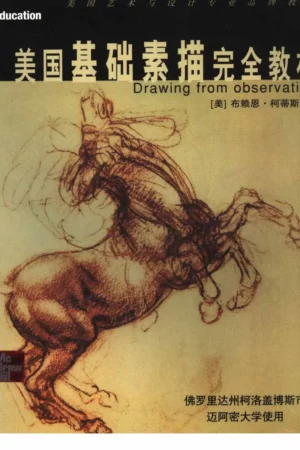 drawing from observation an introduction to perceptual draw