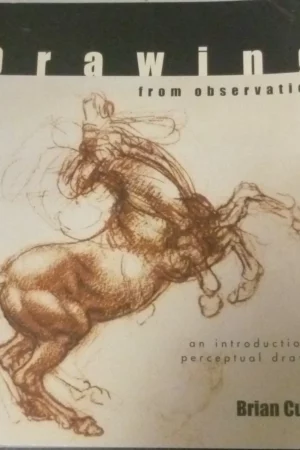 drawing from observation an introduction to perceptual drawing