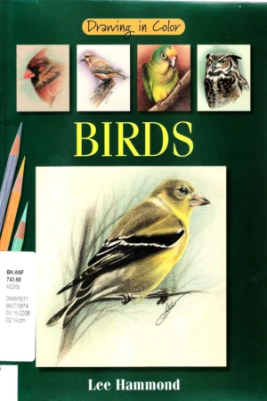 drawing in color birds