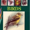 drawing in color birds 1