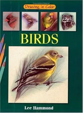 drawing in color birds 1