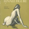 drawing the female figure